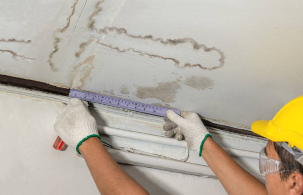 Reliable Mold Remediation contractor in Mounds, OK by Water Damage Irwin